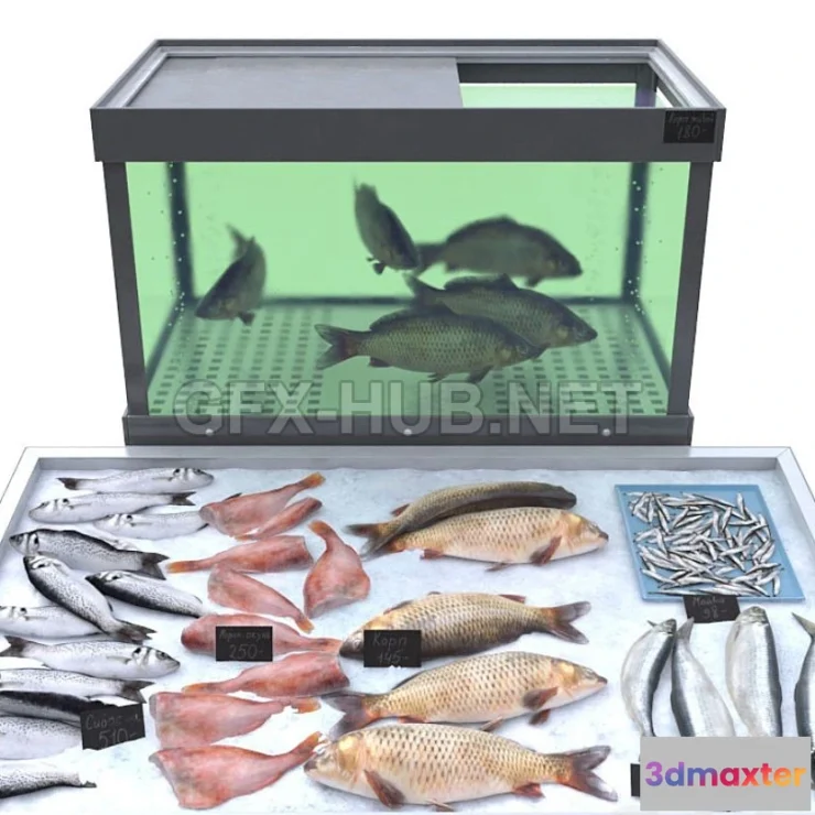 1200624 - FURNITURE 3D MODELS - Fish store