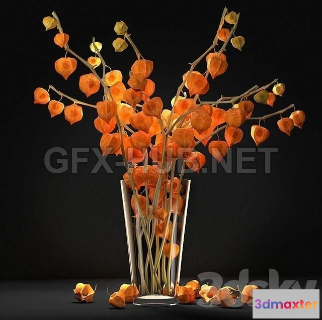 1200636 - FURNITURE 3D MODELS - Fizalis 2