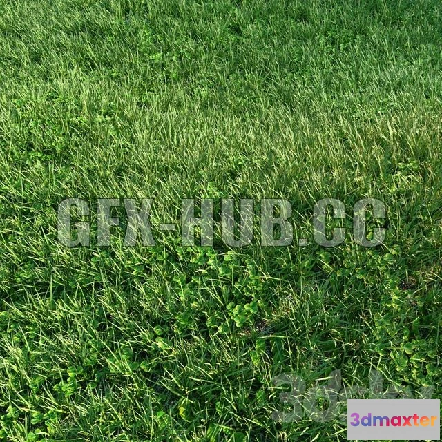 1201158 - FURNITURE 3D MODELS - Grass 01