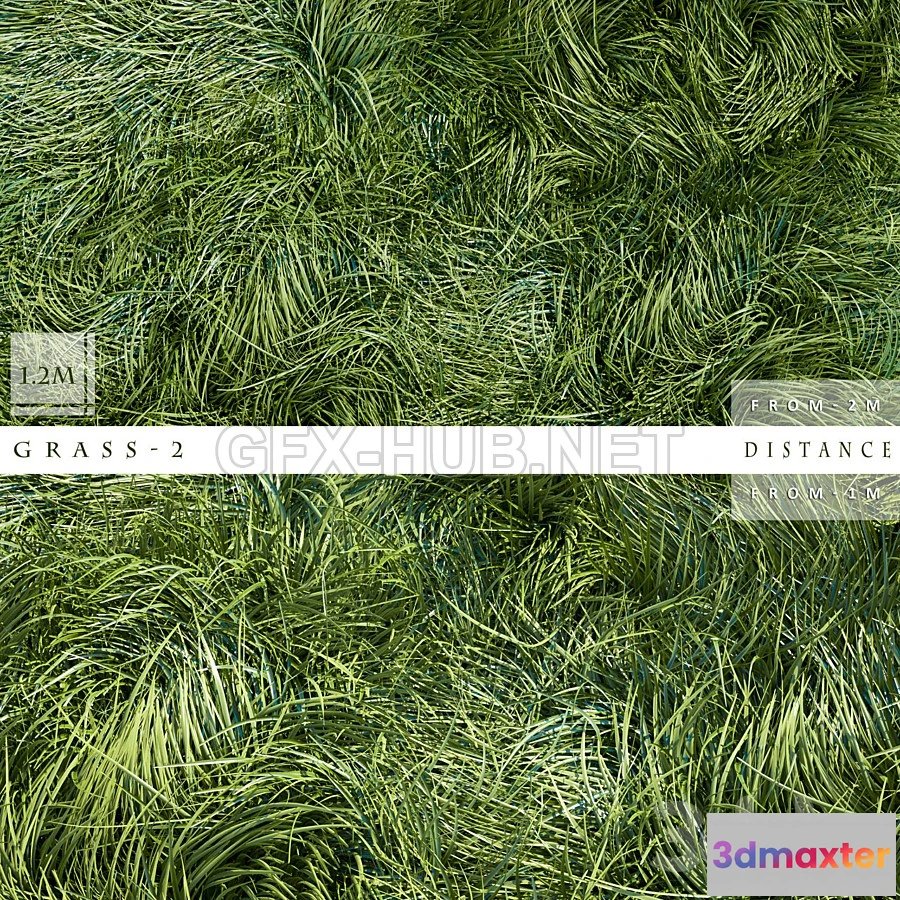 1201160 - FURNITURE 3D MODELS - GRASS 2