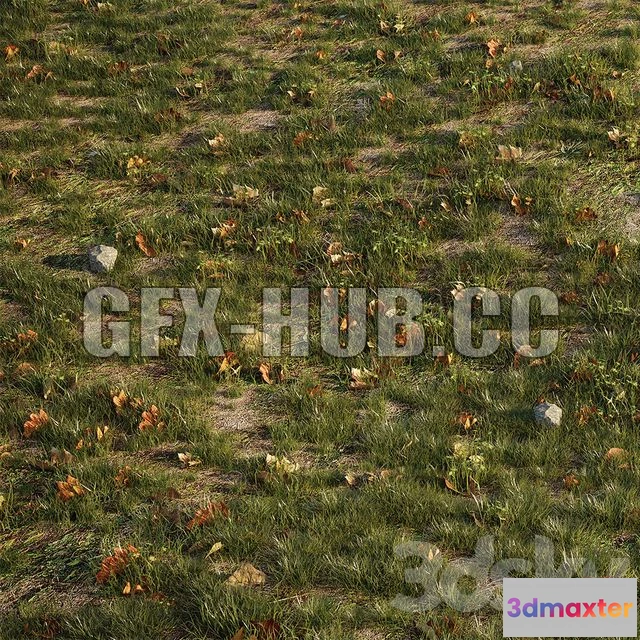 1201456 - FURNITURE 3D MODELS - House Grass or Lawns