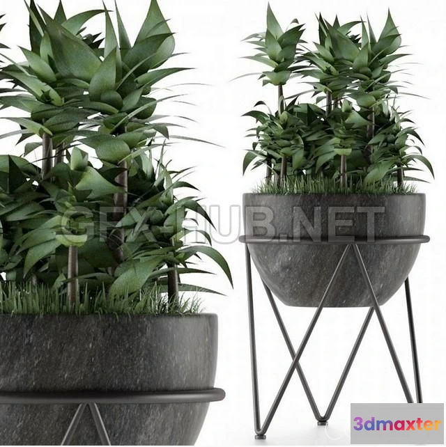1201458 - FURNITURE 3D MODELS - House Plant 21