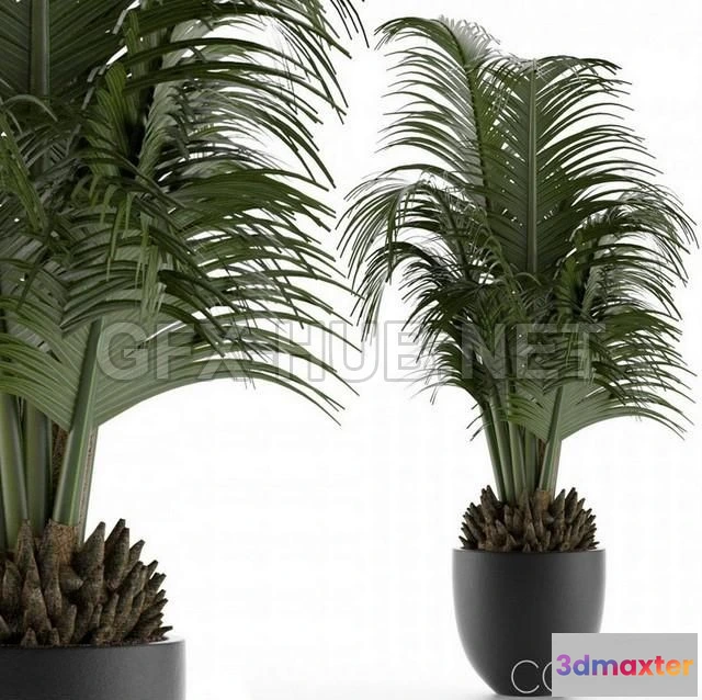 1201460 - FURNITURE 3D MODELS - House Plant 30