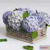 1201496 - FURNITURE 3D MODELS - Hydrangea in basket