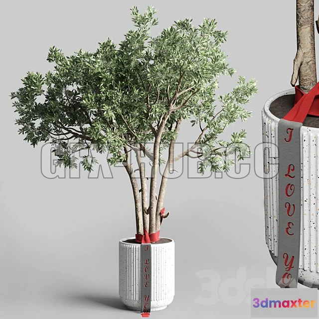 1201596 - FURNITURE 3D MODELS - Indoor Outdoor Plant 111 Pot