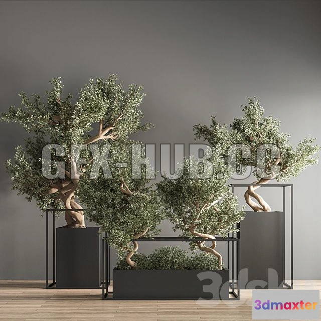 1201598 - FURNITURE 3D MODELS - Indoor Plant Bonsai Set 24
