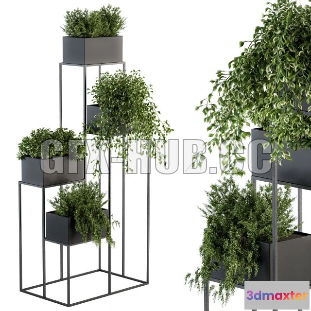 1201600 - FURNITURE 3D MODELS - Indoor Plant Set 100 Black Stand