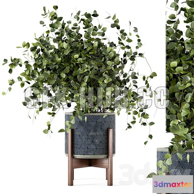 1201618 - FURNITURE 3D MODELS - Indoor Plants in Rusty Concrete Pot Set 244