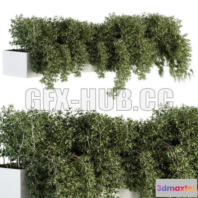 1201702 - FURNITURE 3D MODELS - Ivy Plants in Box Outdoor Set 80