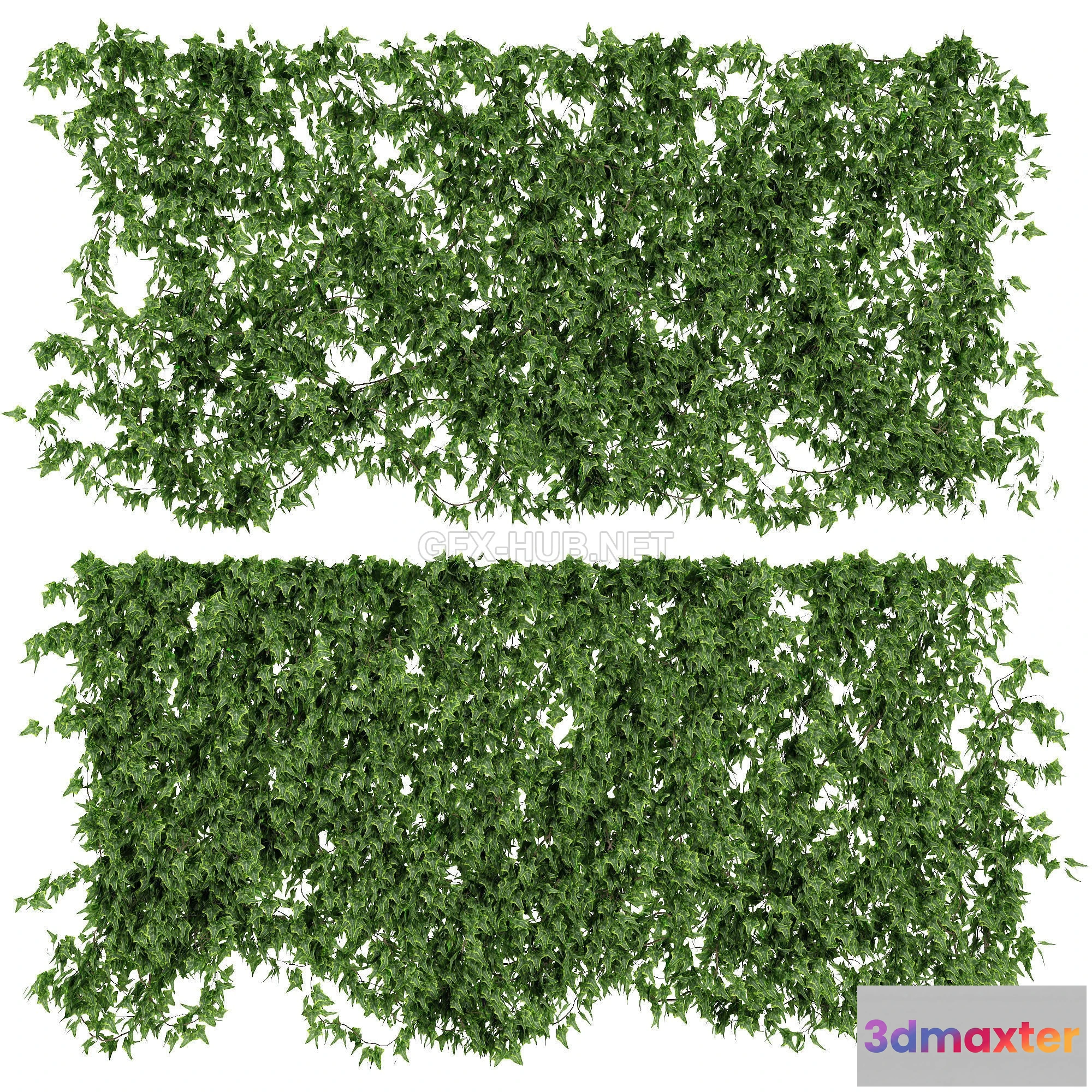 1201704 - FURNITURE 3D MODELS - Ivy walls 2