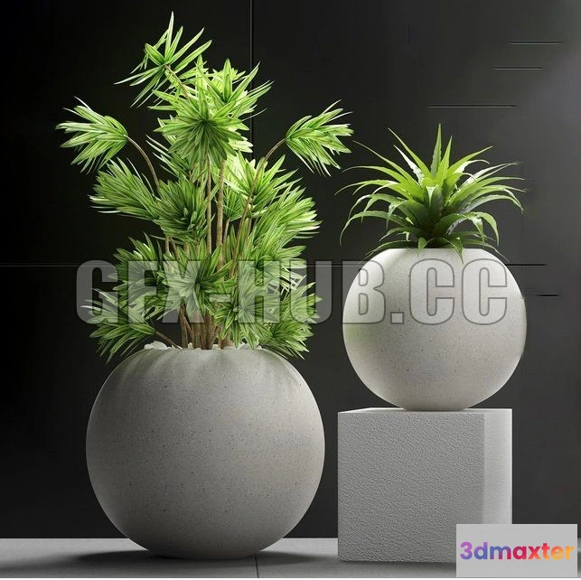 1202192 - FURNITURE 3D MODELS - lants 196