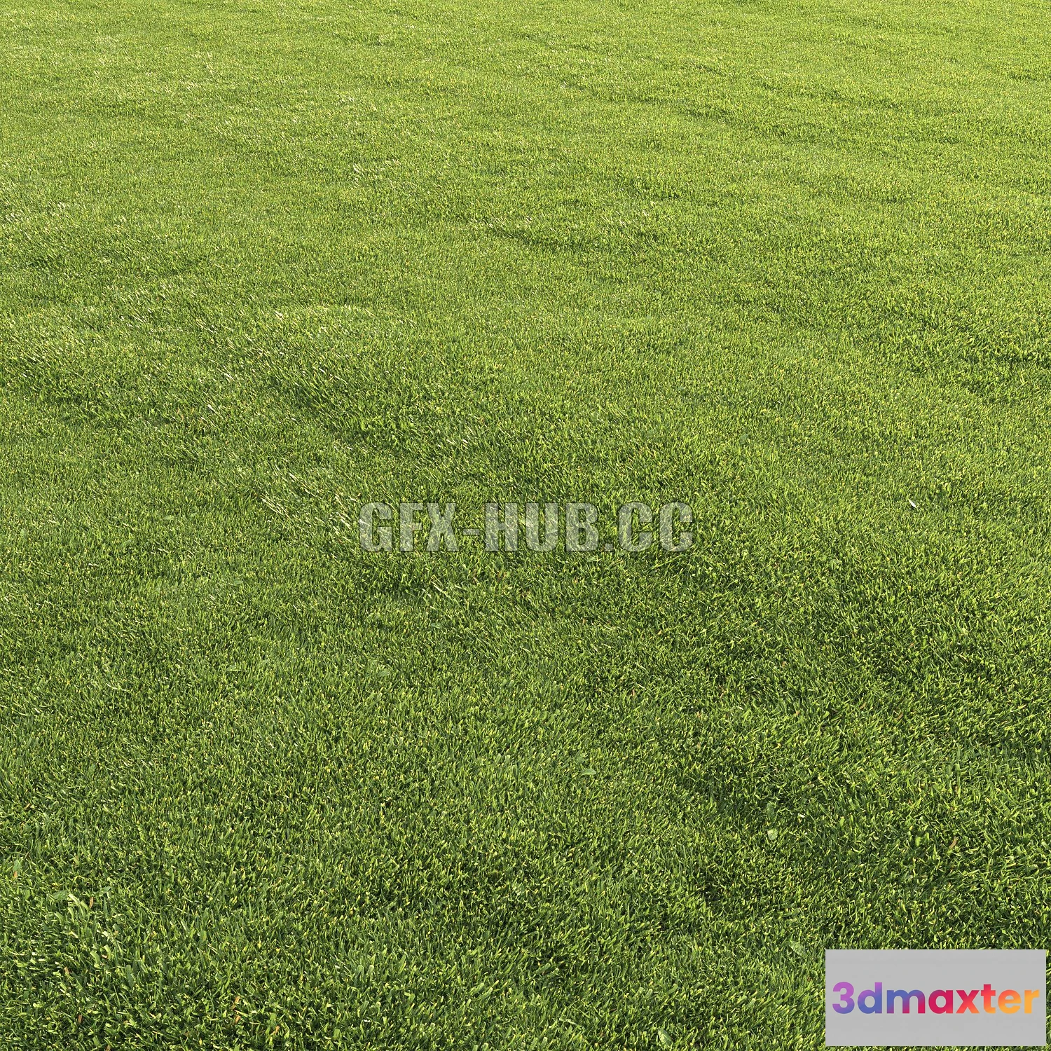 1202238 - FURNITURE 3D MODELS - Lawn Grass 1