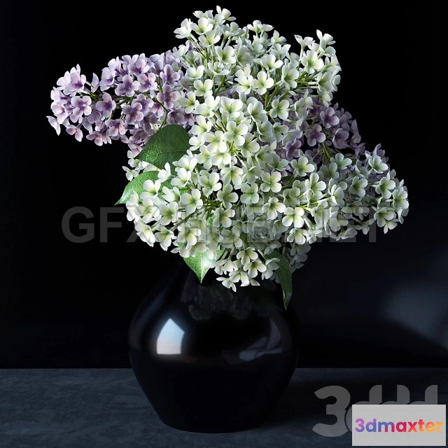 1202378 - FURNITURE 3D MODELS - Lilacs in a vase