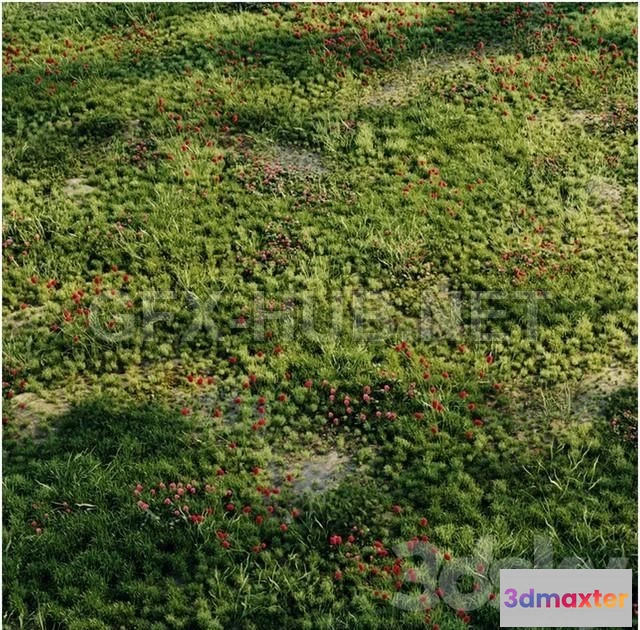 1202806 - FURNITURE 3D MODELS - Meadow Grass 2