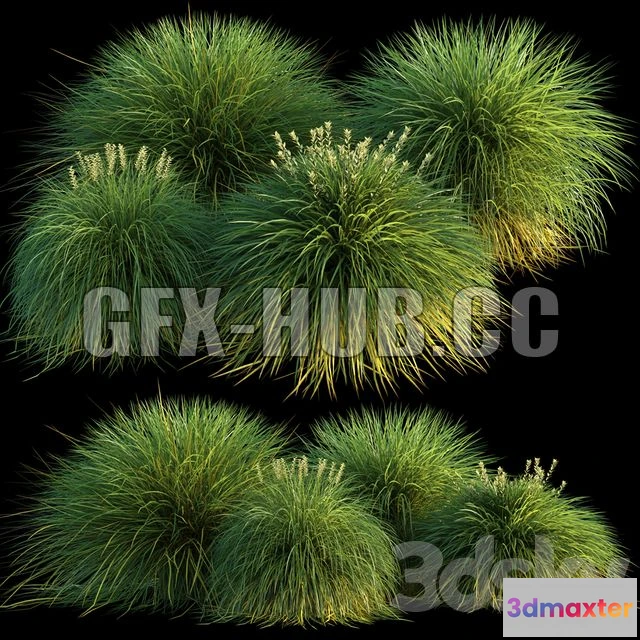 1203032 - FURNITURE 3D MODELS - Miscanthus