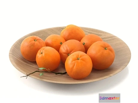 1203448 - FURNITURE 3D MODELS - Oranges