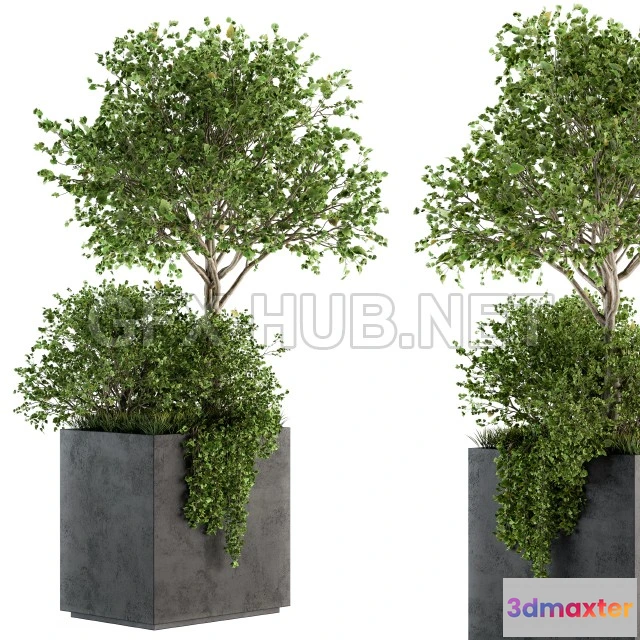 1203480 - FURNITURE 3D MODELS - Outdoor Plants in Concrete Plant Box - Set 93