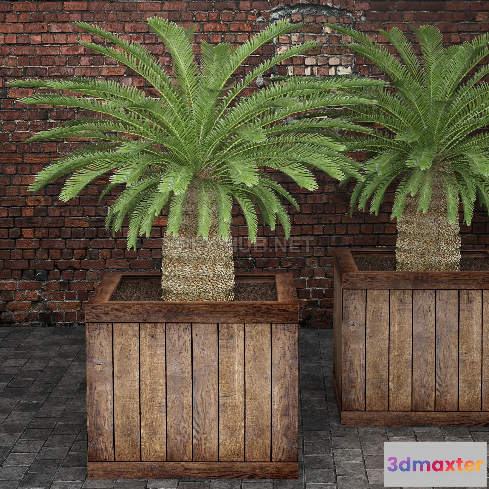 1203516 - FURNITURE 3D MODELS - Palm tree