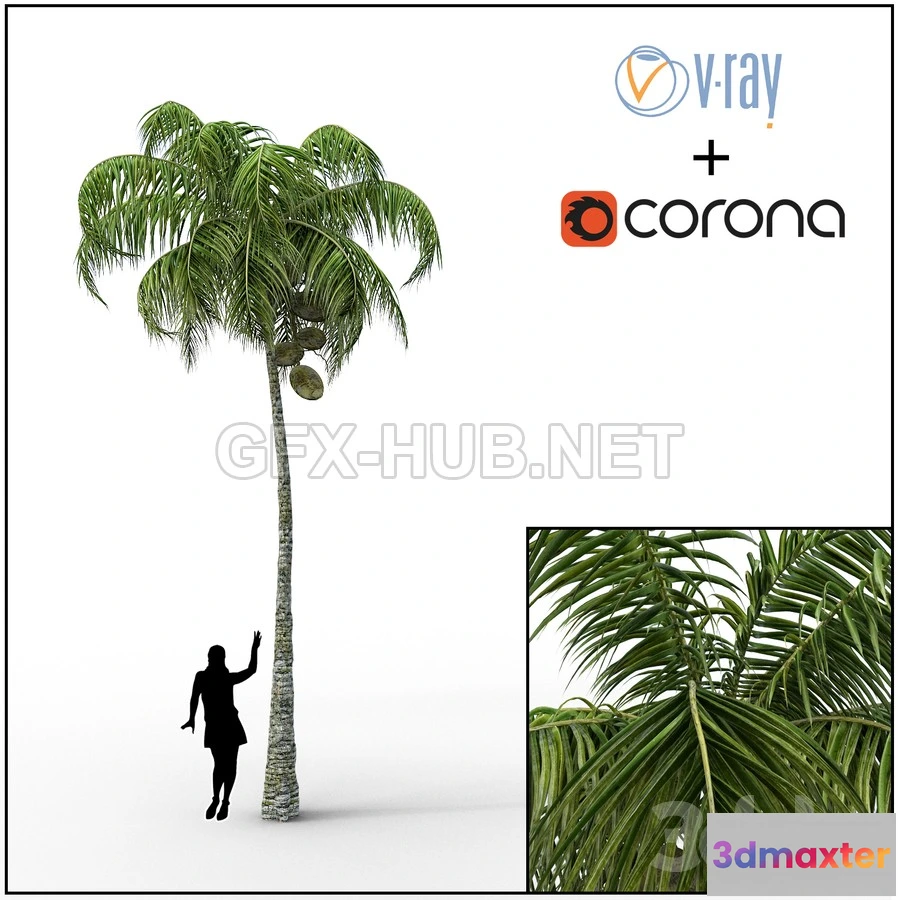 1203520 - FURNITURE 3D MODELS - Palm