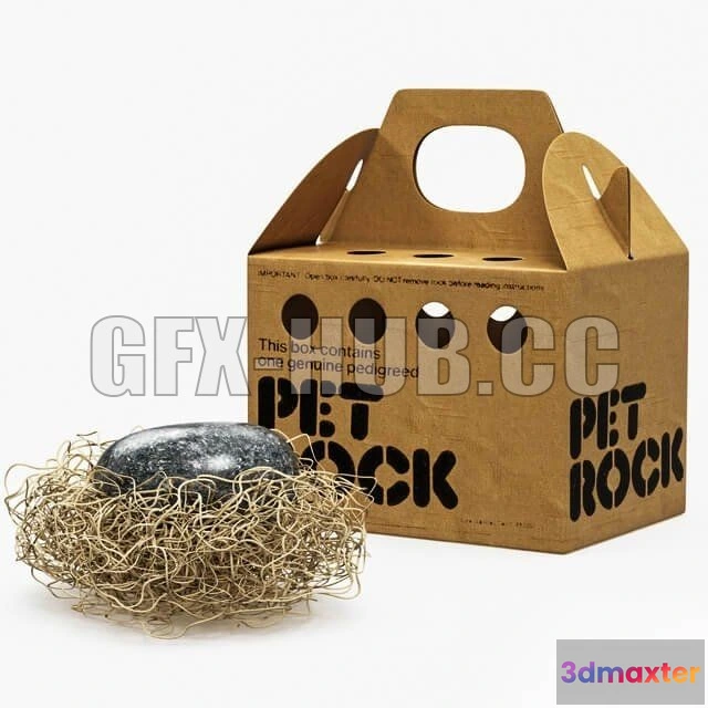 1203614 - FURNITURE 3D MODELS - Pet Rock