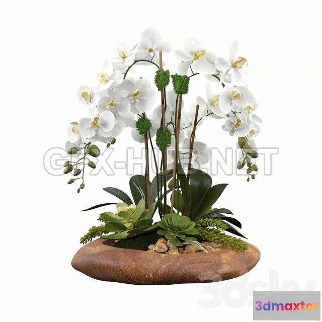 1203622 - FURNITURE 3D MODELS - Phalaenopsis Silk Orchids