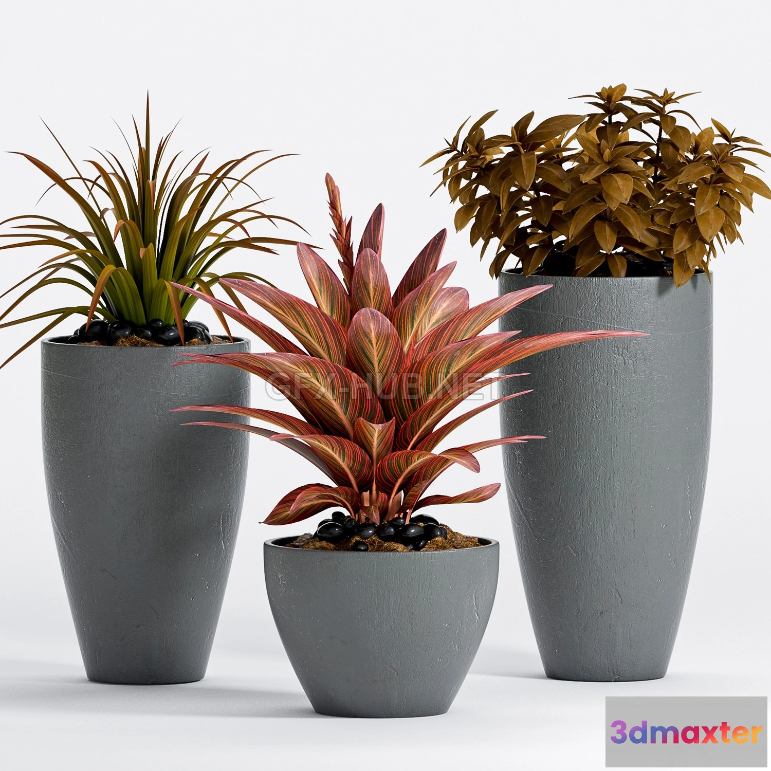 1203700 - FURNITURE 3D MODELS - PLANT -17