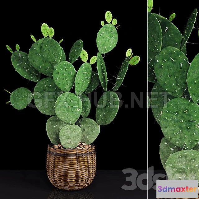 1203704 - FURNITURE 3D MODELS - Plant 9
