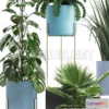 1203716 - FURNITURE 3D MODELS - Plant collection 281