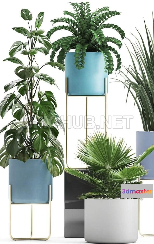 1203716 - FURNITURE 3D MODELS - Plant collection 281