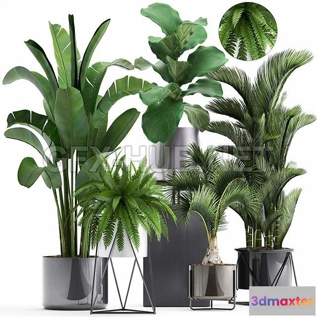 1203720 - FURNITURE 3D MODELS - Plant collection 290