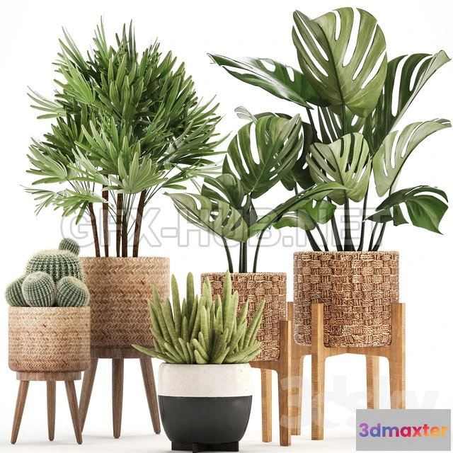 1203722 - FURNITURE 3D MODELS - Plant collection 321