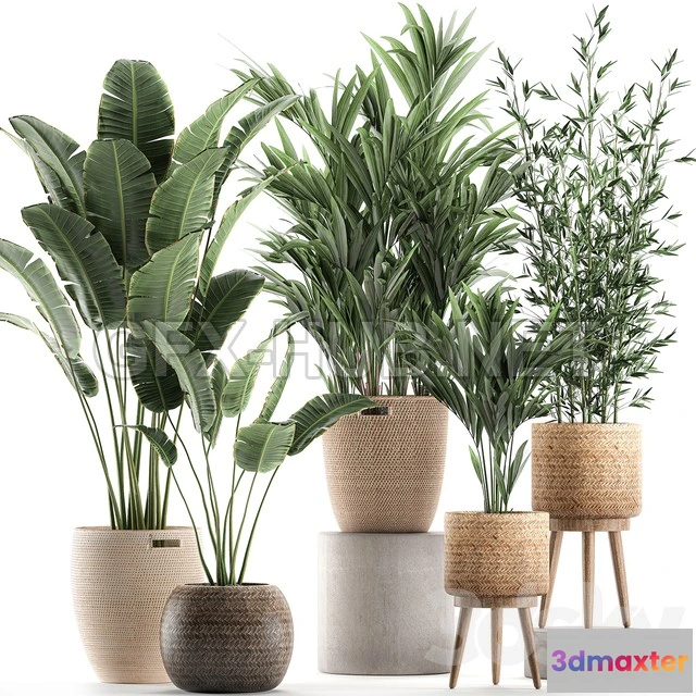 1203730 - FURNITURE 3D MODELS - Plant Collection 600
