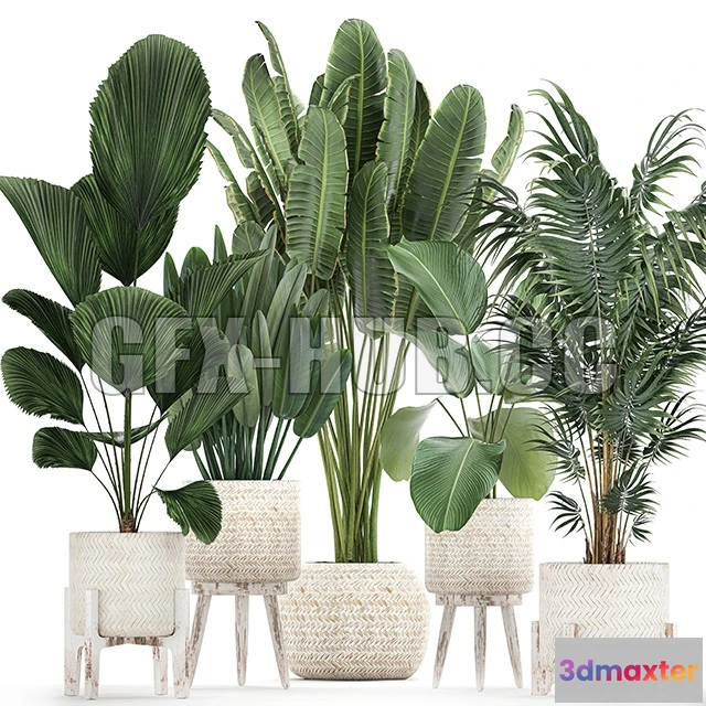 1203734 - FURNITURE 3D MODELS - Plant Collection 713 Scandinavian style
