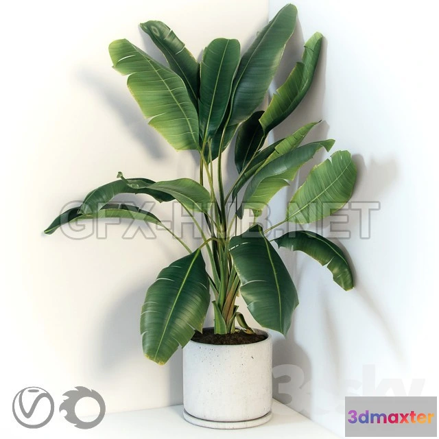 1203744 - FURNITURE 3D MODELS - Plant in a concrete pot for a corner