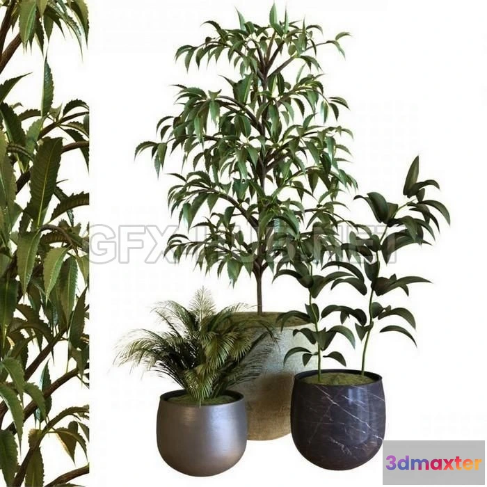1203746 - FURNITURE 3D MODELS - Plant In Box Set 040