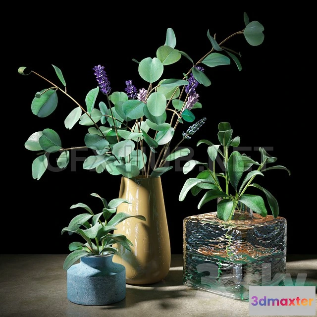 1203748 - FURNITURE 3D MODELS - Plant set 05