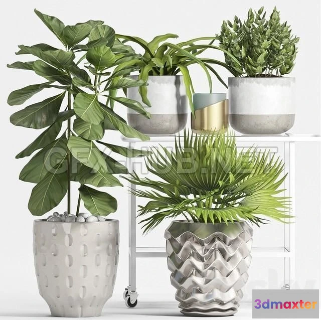 1203750 - FURNITURE 3D MODELS - Plant Set 59