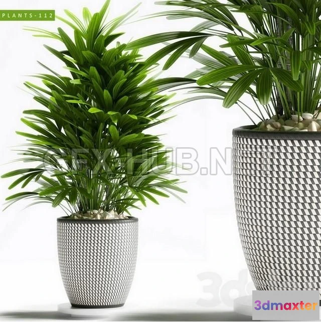 1203752 - FURNITURE 3D MODELS - PLANTS 112