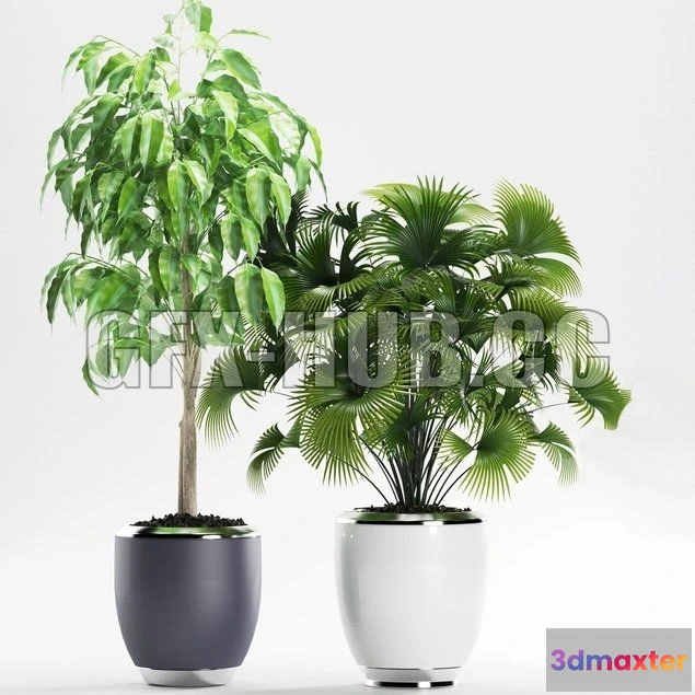 1203756 - FURNITURE 3D MODELS - Plants 139