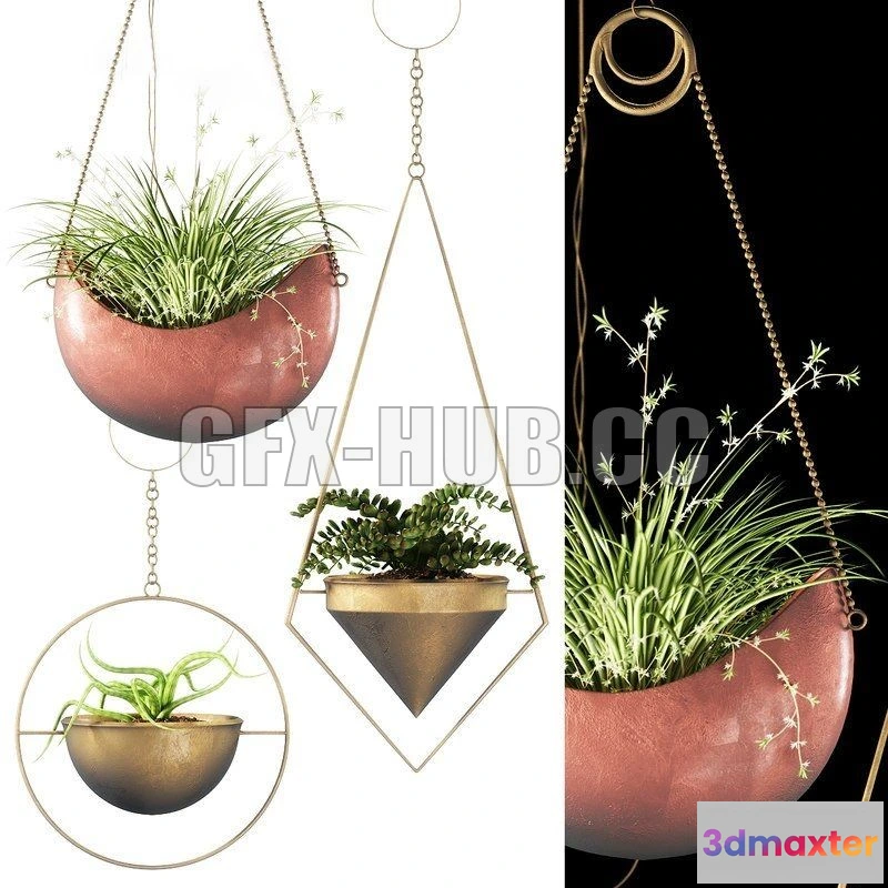 1203758 - FURNITURE 3D MODELS - Plants 143