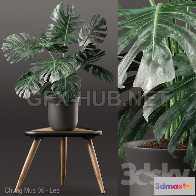 1203760 - FURNITURE 3D MODELS - Plants 160