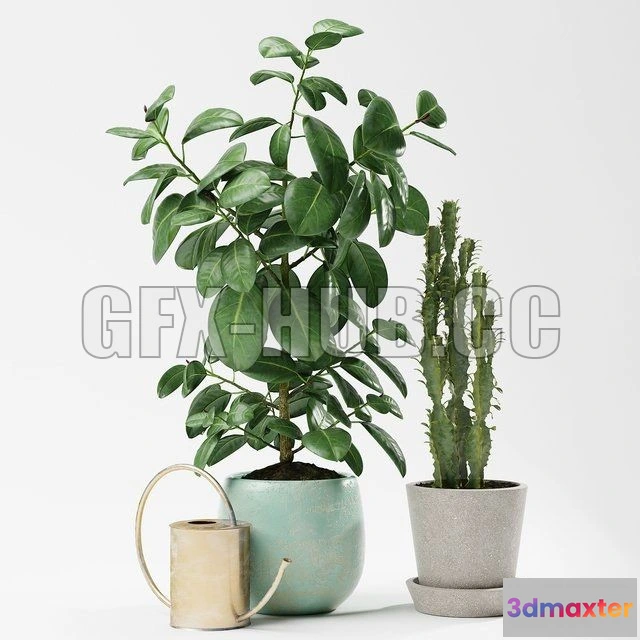 1203764 - FURNITURE 3D MODELS - Plants 186