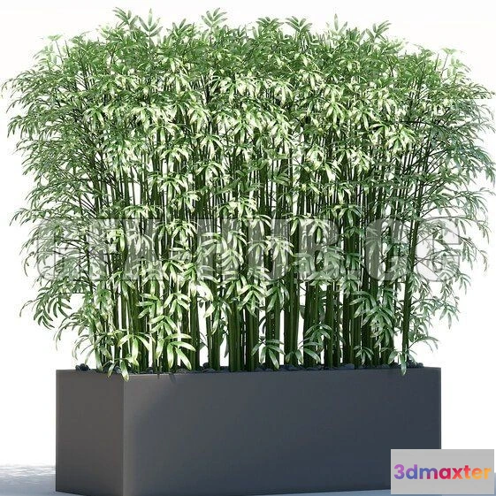 1203766 - FURNITURE 3D MODELS - Plants 189