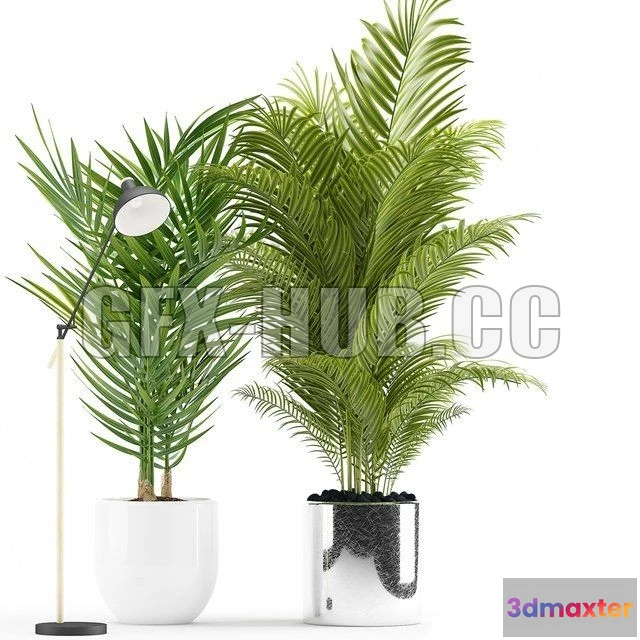 1203768 - FURNITURE 3D MODELS - Plants 191