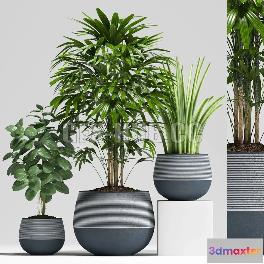 1203770 - FURNITURE 3D MODELS - Plants 194