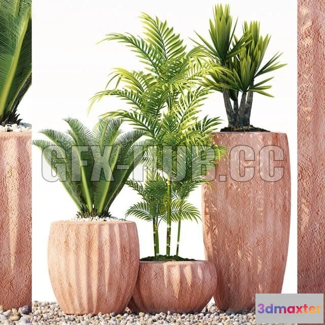 1203774 - FURNITURE 3D MODELS - Plants 201
