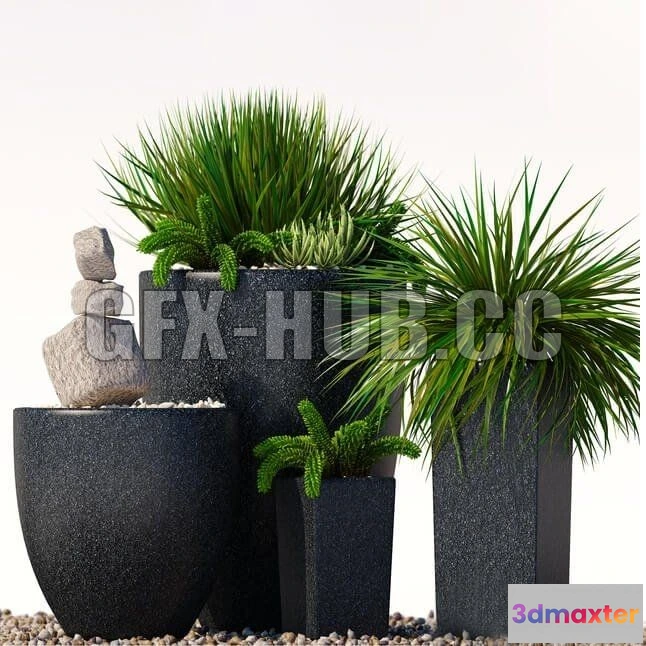 1203776 - FURNITURE 3D MODELS - Plants 202