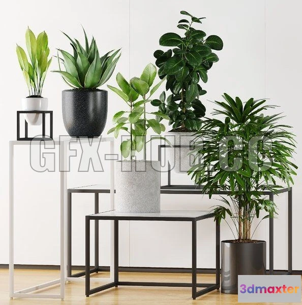 1203778 - FURNITURE 3D MODELS - Plants 203
