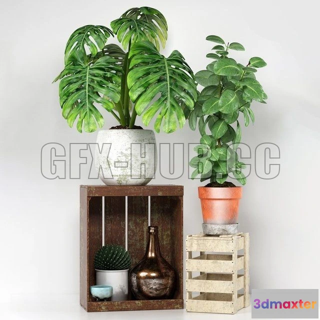 1203780 - FURNITURE 3D MODELS - Plants 204