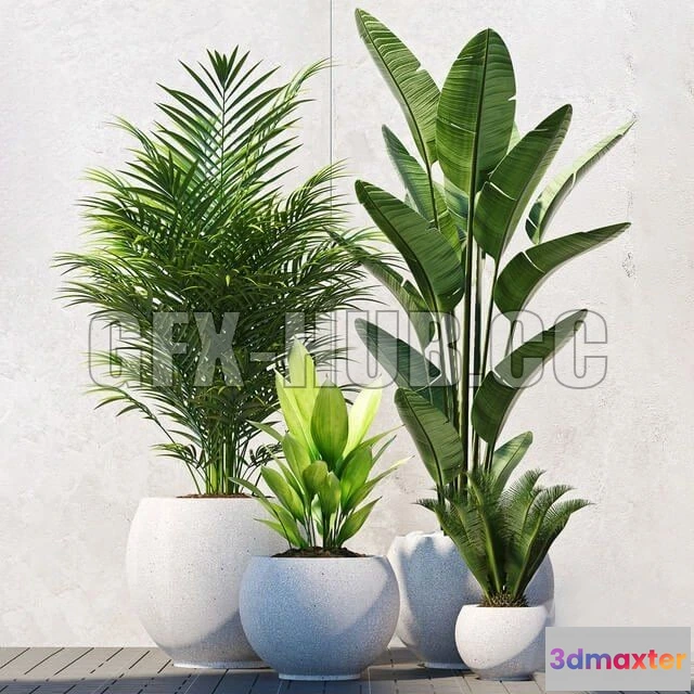 1203782 - FURNITURE 3D MODELS - Plants 208